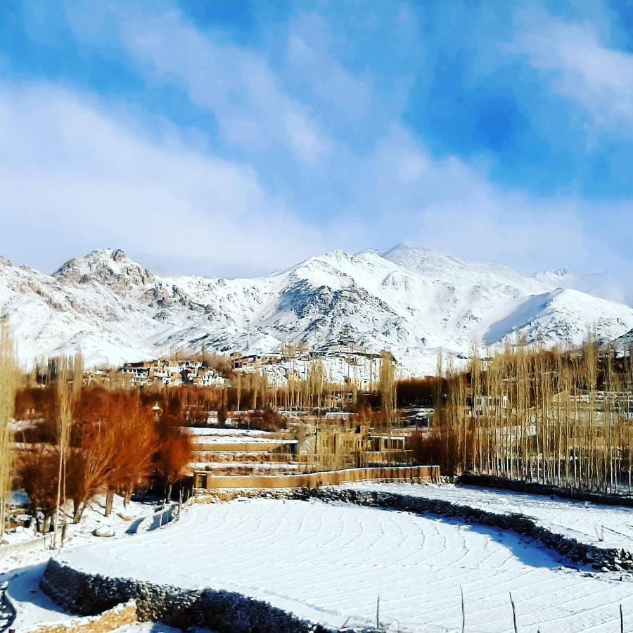 Ladakh Country Inn Leh Exterior photo